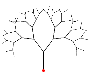 spherodendron